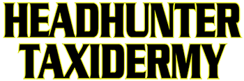 http://www.justinmondeikracing.com/wp-content/uploads/2023/04/Headhunter-Tax.png